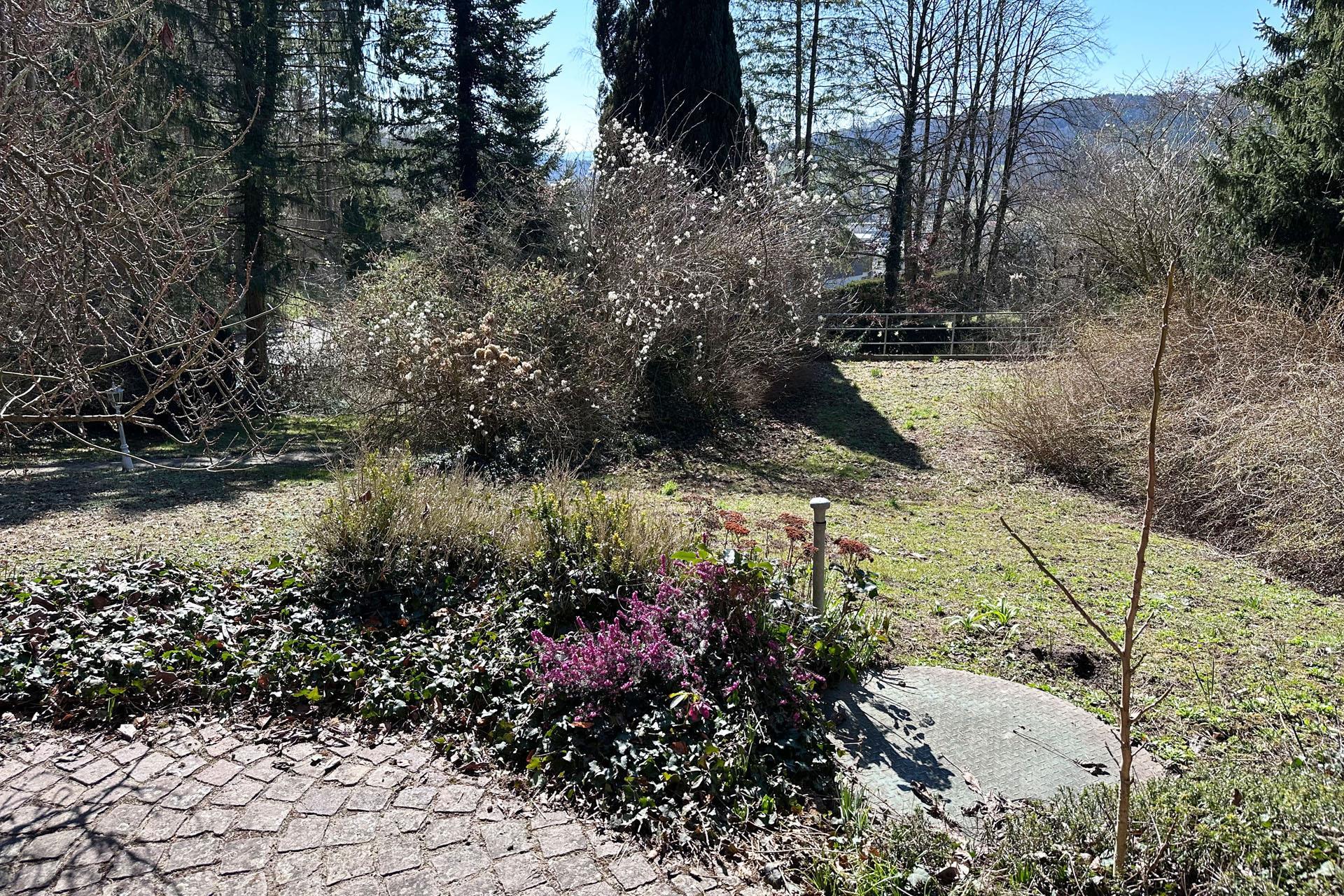 Terrasse und Garten