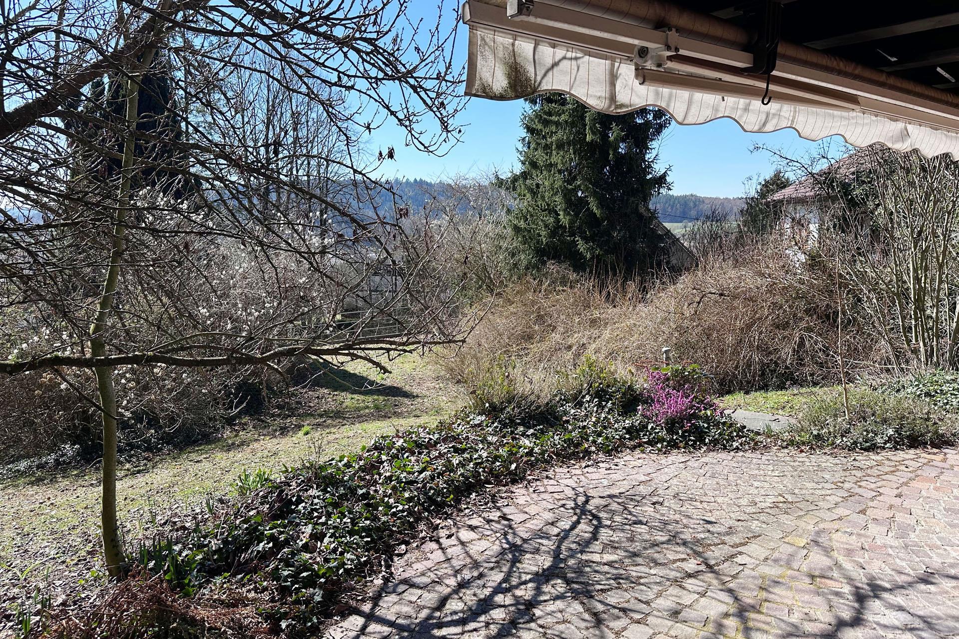 Terrasse und Garten