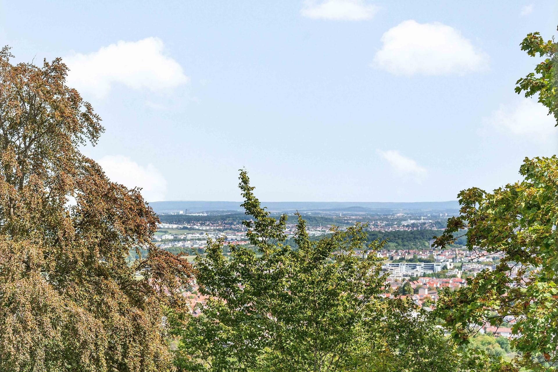 Ausblick