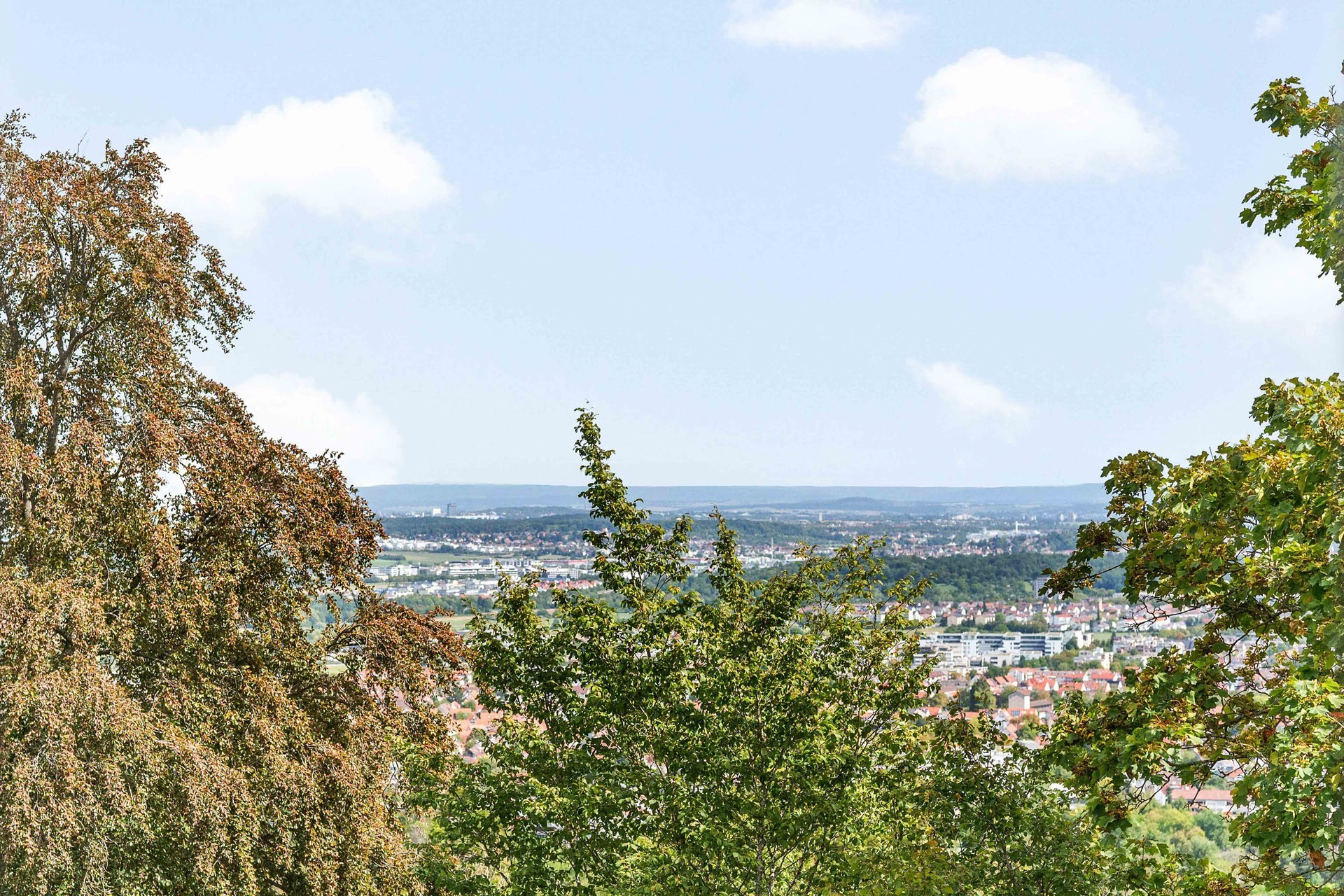 Ausblick