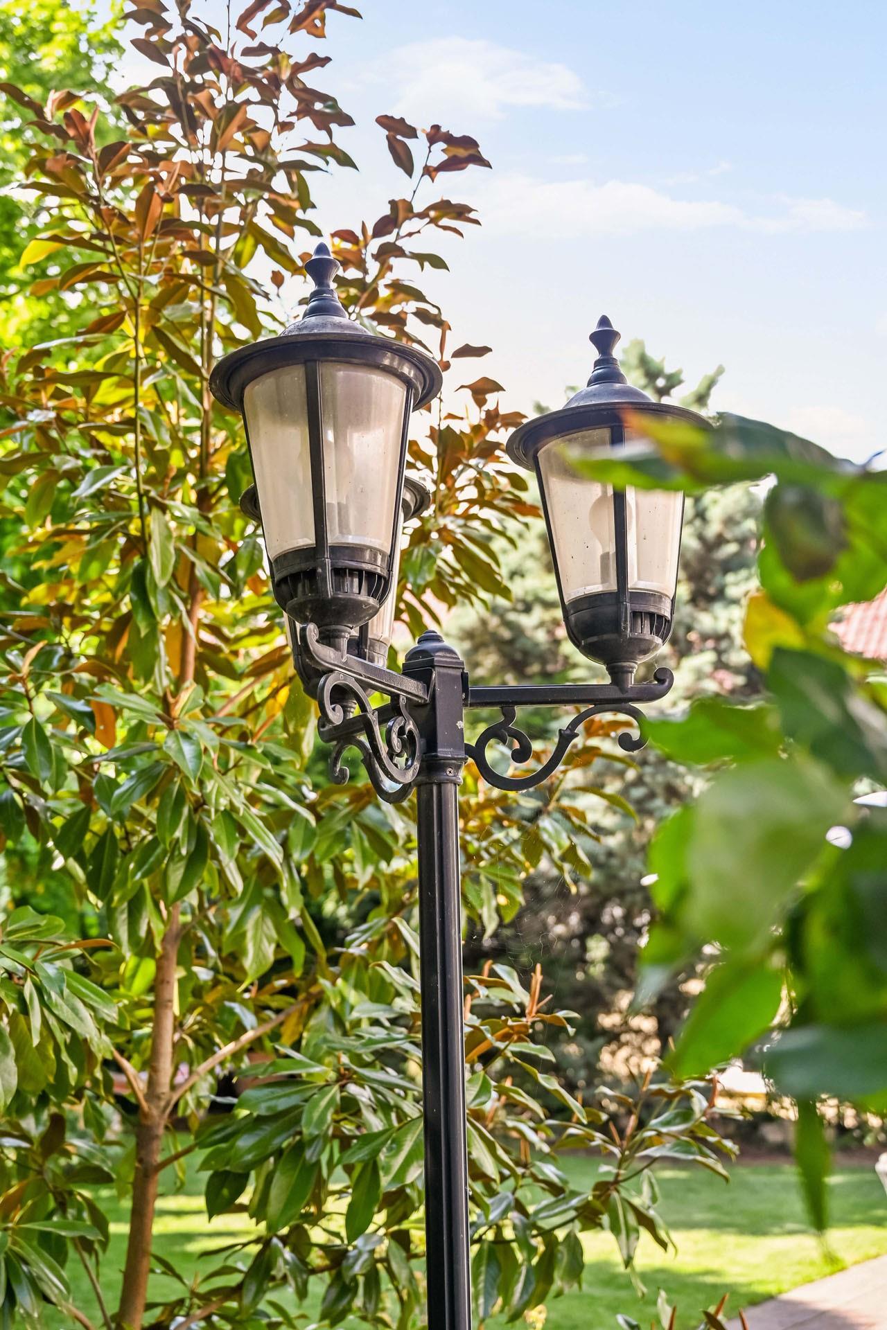 Garten_Detail