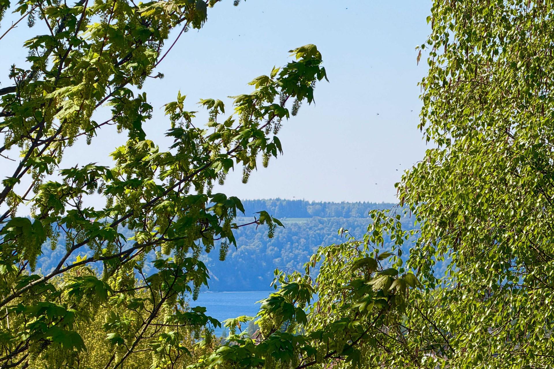 Aussicht