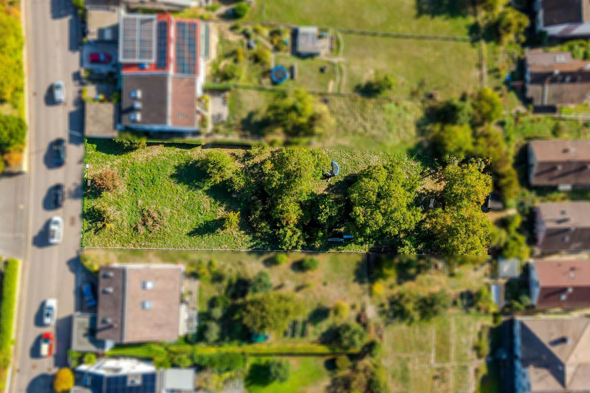 Draufsicht