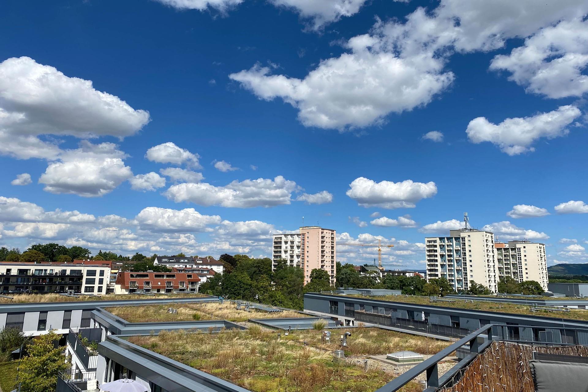 Ausblick