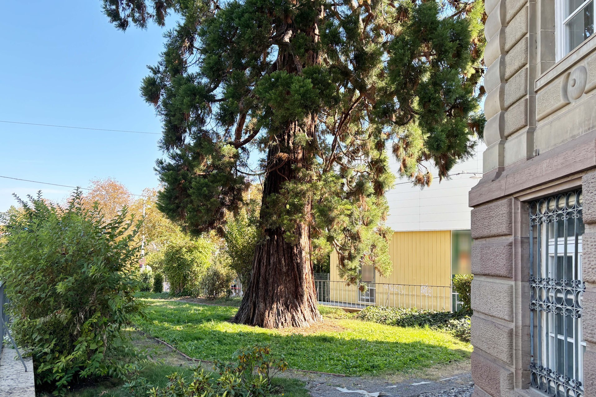 Garten