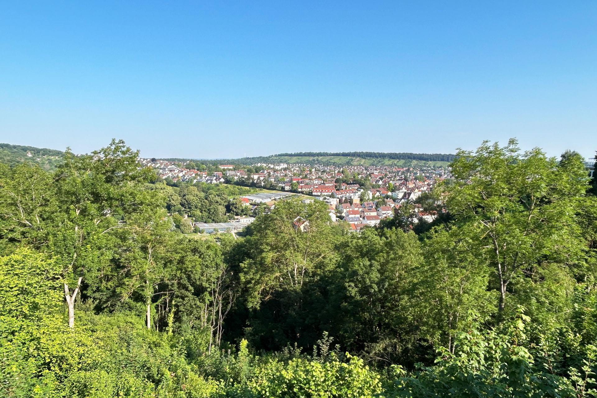 Ausblick