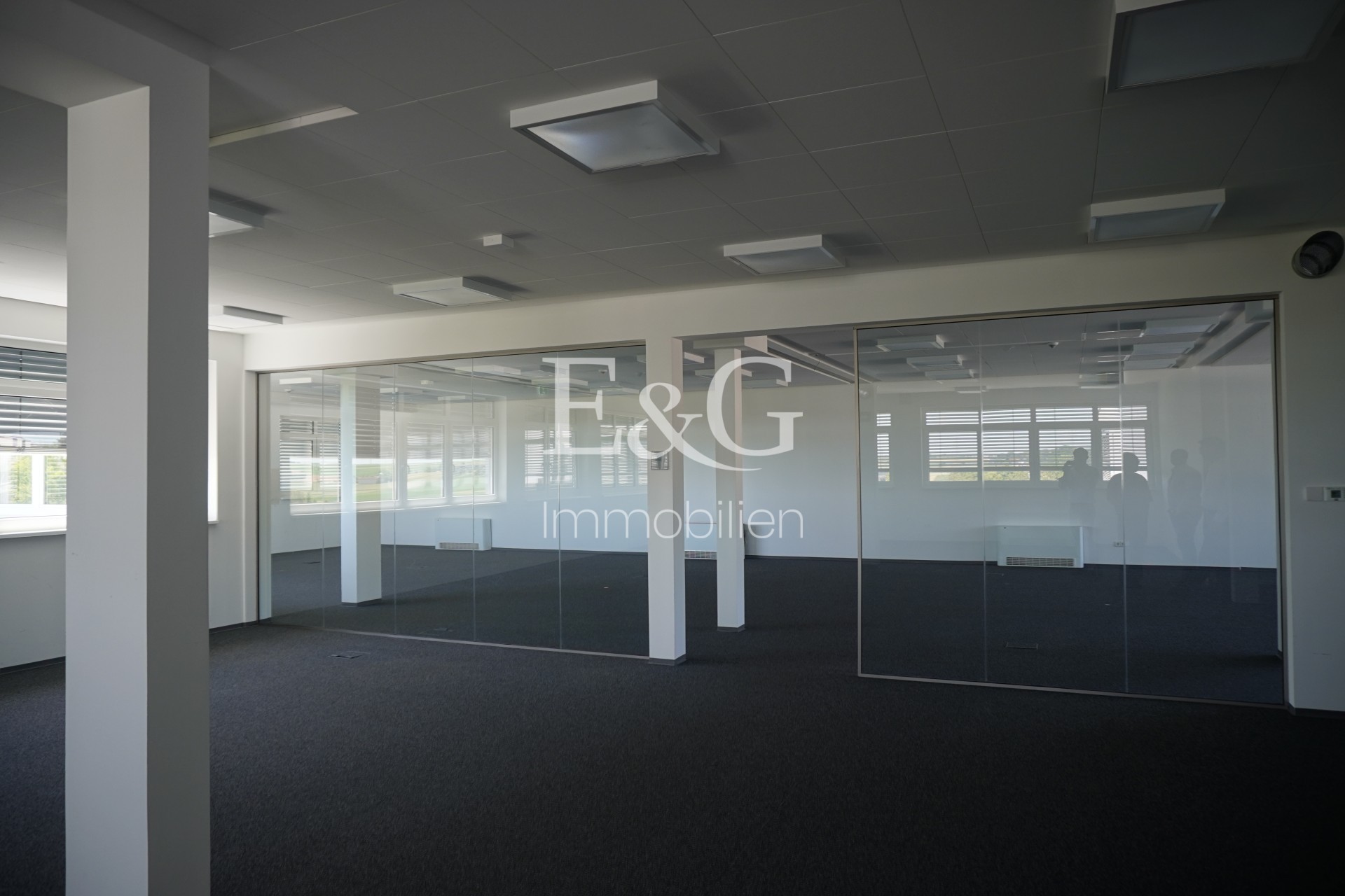 Büro 5