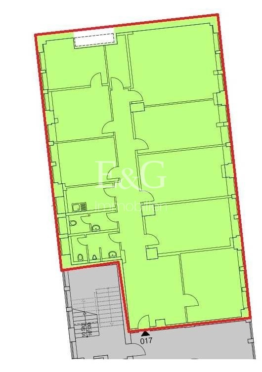 1. OG - 323 m² (Pilgersheimer Str. 38)