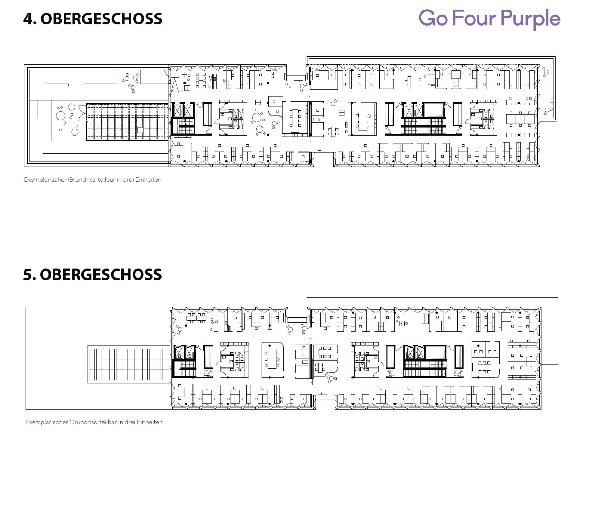 4. OG+5.OG_Go Four Purple